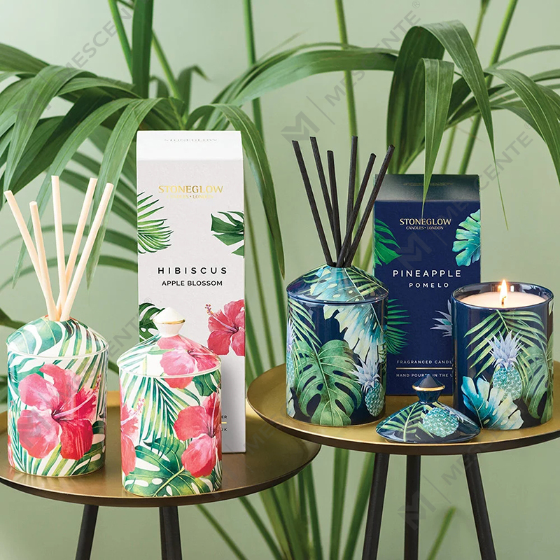 شمعة M&Scent ذات التصميم الخاص بألوان النباتات الحضرية مع صندوق قابل للطي