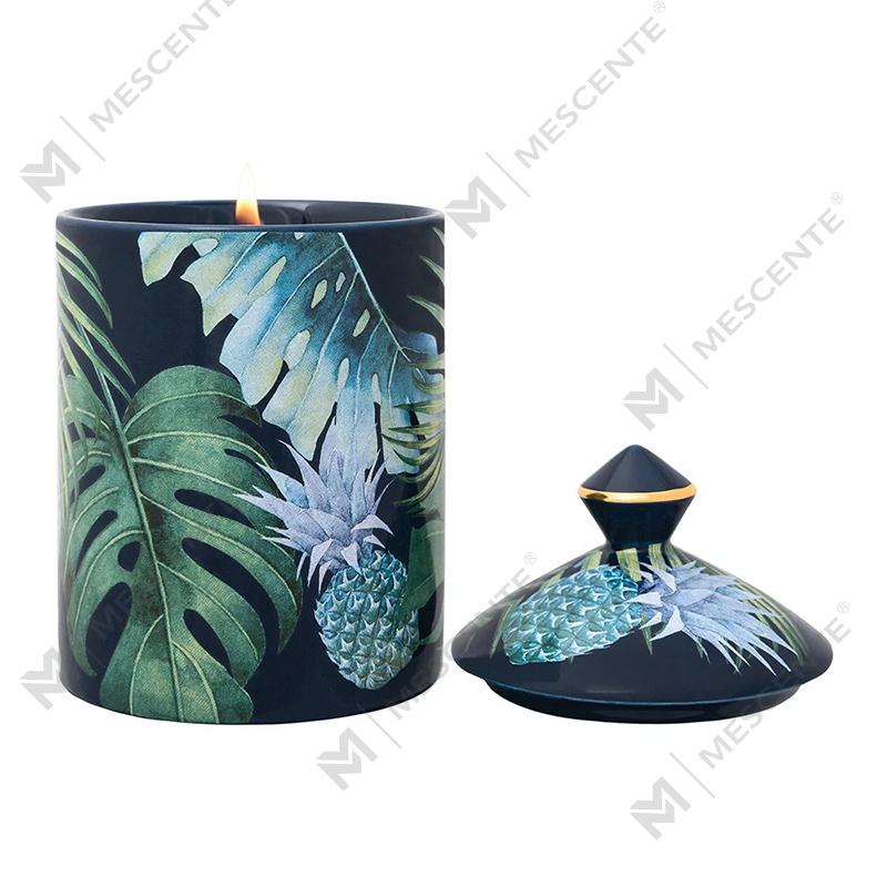 شمعة M&Scent ذات التصميم الخاص بألوان النباتات الحضرية مع صندوق قابل للطي